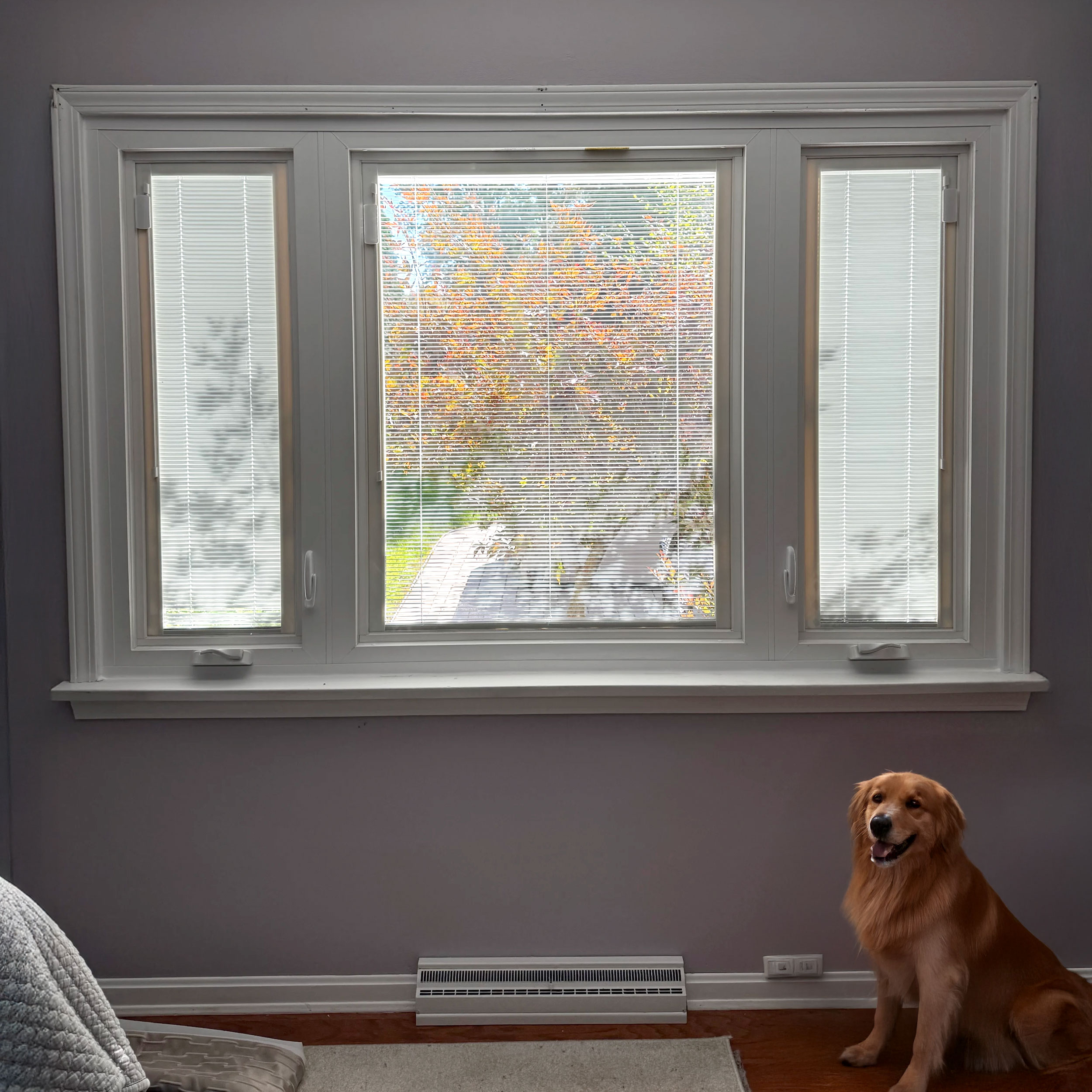 Windows With Blinds Inside: The Low-Maintenance Game-Changer for Dayton Homes.